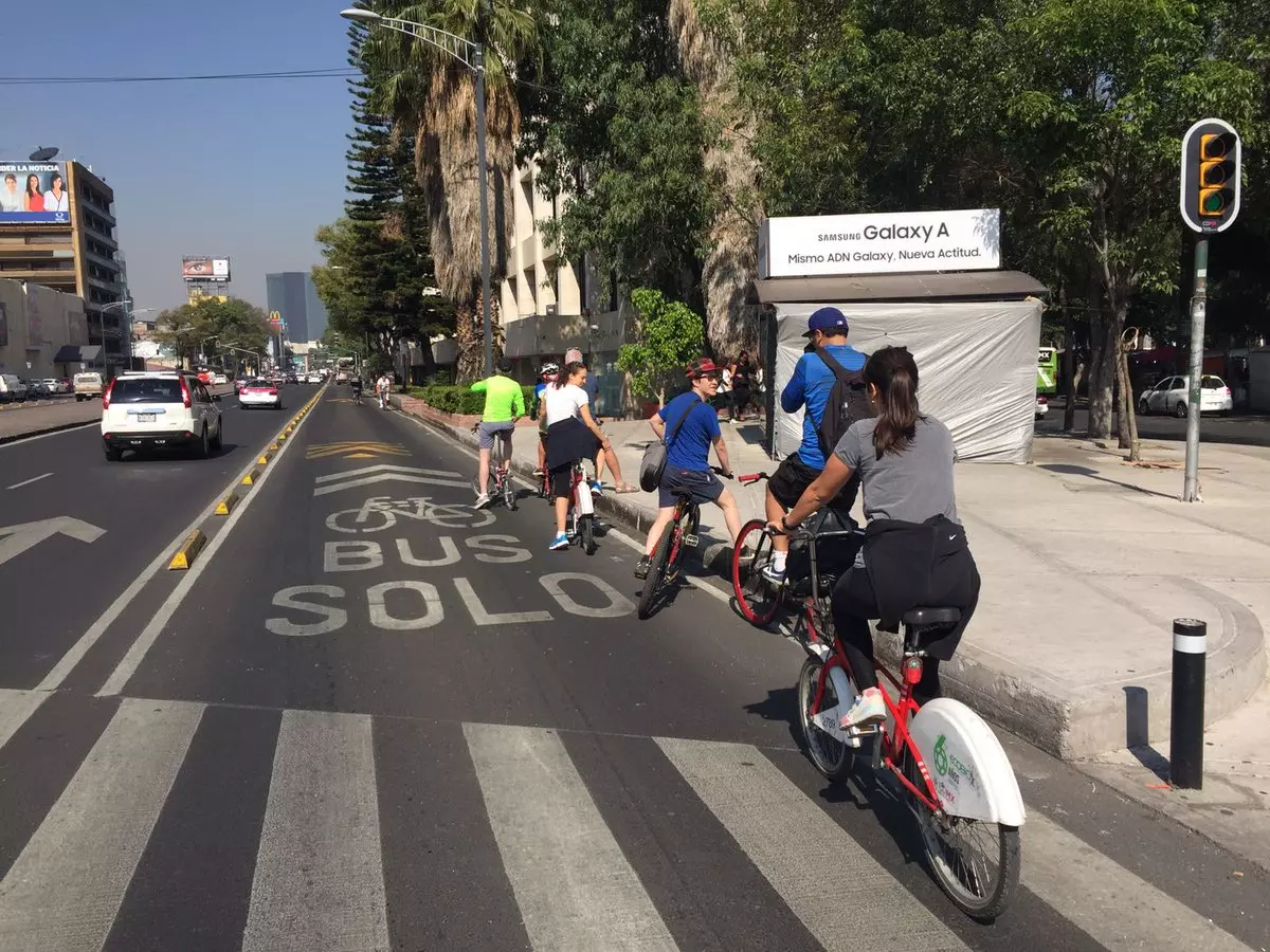 Tipos de ciclovías para el ciclismo urbano en la CDMX, ¿has circulado por todas ellas?