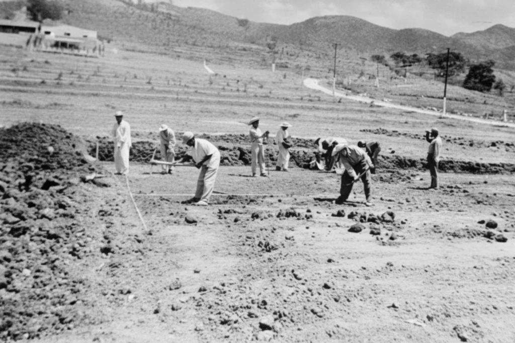 Trabajadores viales operando maquinaria pesada en una obra carretera, reflejo del esfuerzo técnico que sostiene la infraestructura nacional.